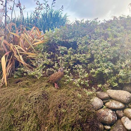 Wild Weka Eco Stay - Off-Grid 4Wd Recommended Waimarie Luaran gambar
